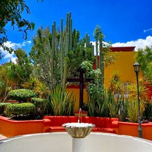 Meet your Posher, Lyra